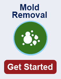 mold remediation in Novi TN